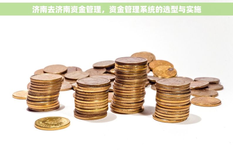 济南去济南资金管理，资金管理系统的选型与实施