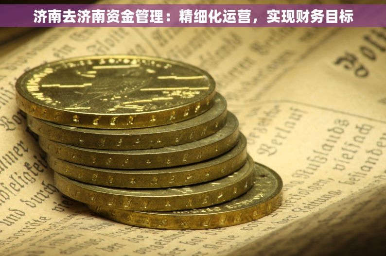 济南去济南资金管理：精细化运营，实现财务目标