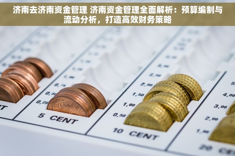 济南去济南资金管理 济南资金管理全面解析：预算编制与流动分析，打造高效财务策略