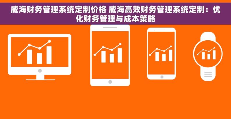 威海财务管理系统定制价格 威海高效财务管理系统定制：优化财务管理与成本策略
