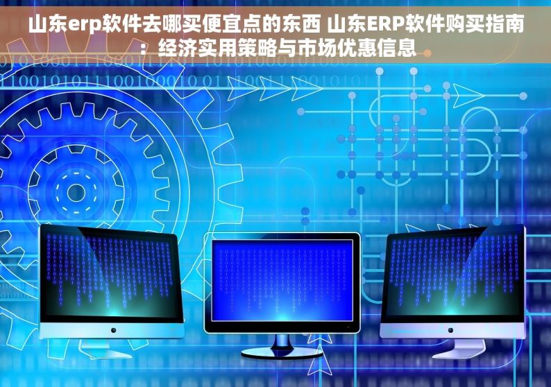 山东erp软件去哪买便宜点的东西 山东ERP软件购买指南：经济实用策略与市场优惠信息