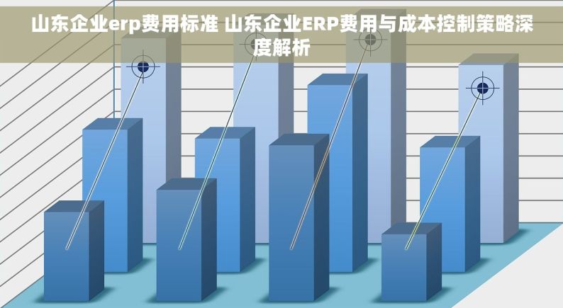 山东企业erp费用标准 山东企业ERP费用与成本控制策略深度解析