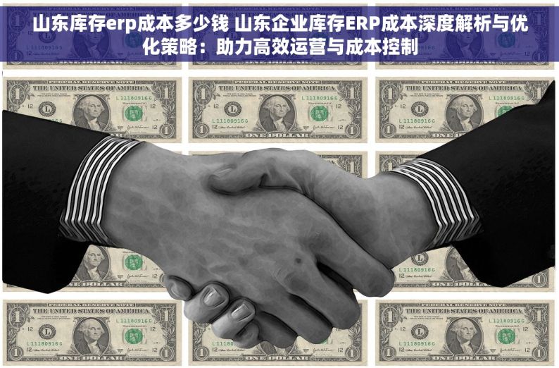 山东库存erp成本多少钱 山东企业库存ERP成本深度解析与优化策略：助力高效运营与成本控制