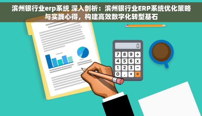 滨州银行业erp系统 深入剖析：滨州银行业ERP系统优化策略与实践心得，构建高效数字化转型基石