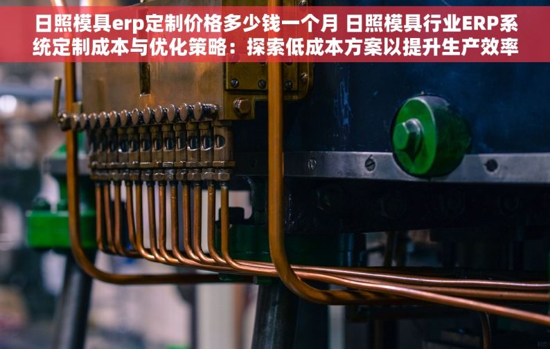 日照模具erp定制价格多少钱一个月 日照模具行业ERP系统定制成本与优化策略：探索低成本方案以提升生产效率