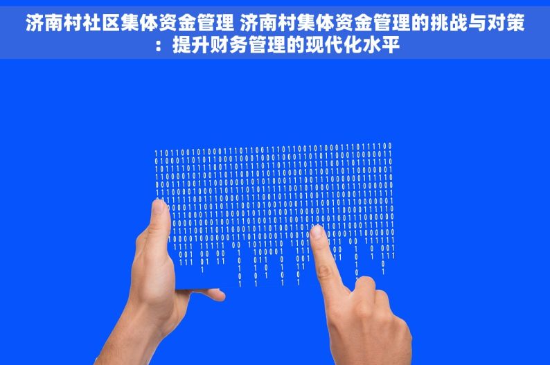 济南村社区集体资金管理 济南村集体资金管理的挑战与对策：提升财务管理的现代化水平