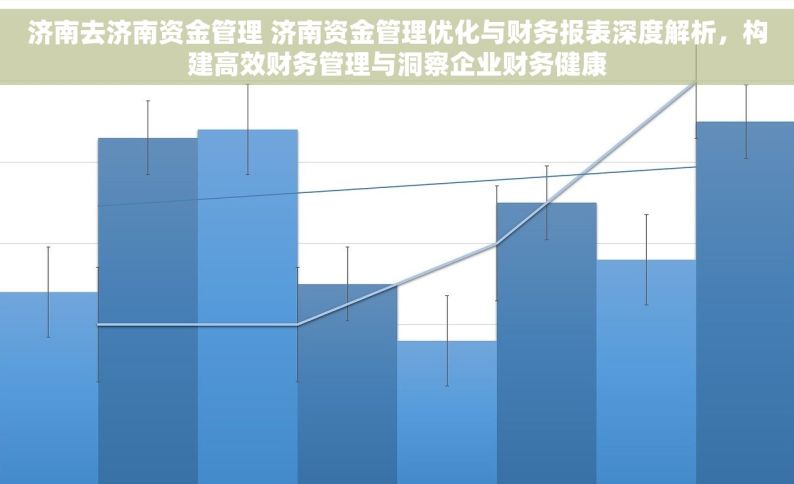 济南去济南资金管理 济南资金管理优化与财务报表深度解析，构建高效财务管理与洞察企业财务健康