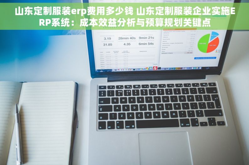 山东定制服装erp费用多少钱 山东定制服装企业实施ERP系统：成本效益分析与预算规划关键点