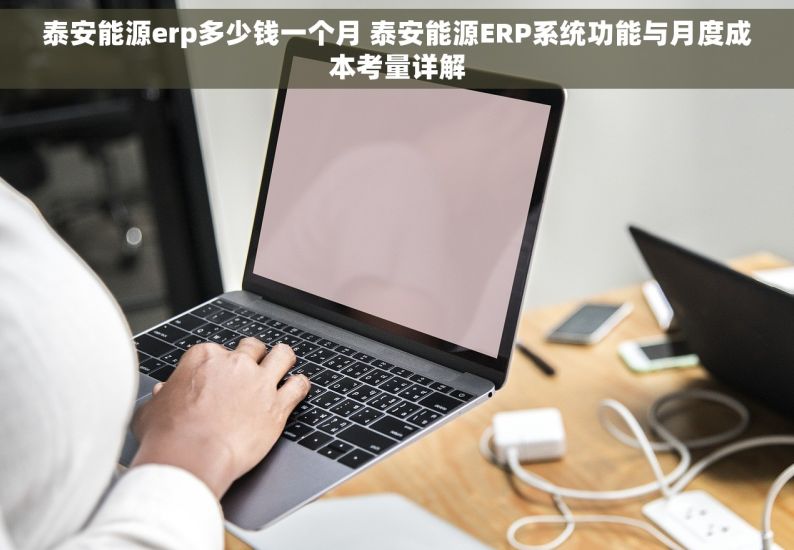 泰安能源erp多少钱一个月 泰安能源ERP系统功能与月度成本考量详解