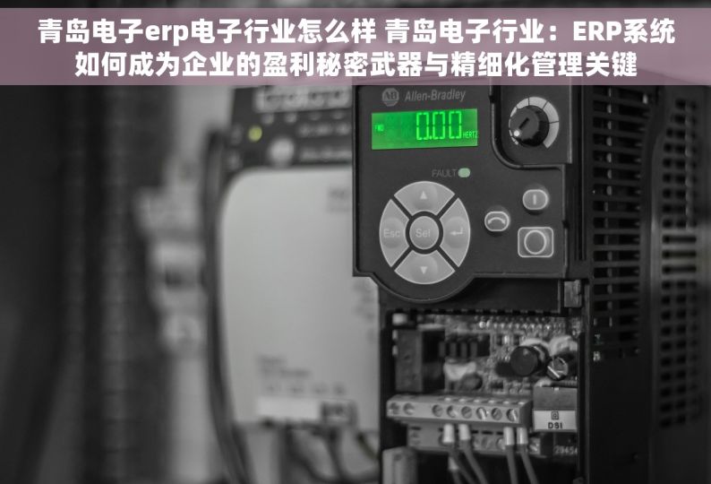 青岛电子erp电子行业怎么样 青岛电子行业：ERP系统如何成为企业的盈利秘密武器与精细化管理关键