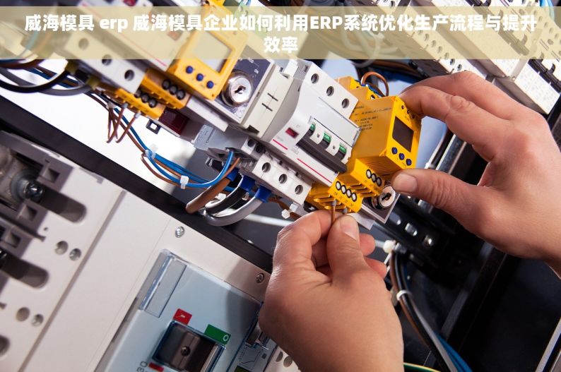 威海模具 erp 威海模具企业如何利用ERP系统优化生产流程与提升效率