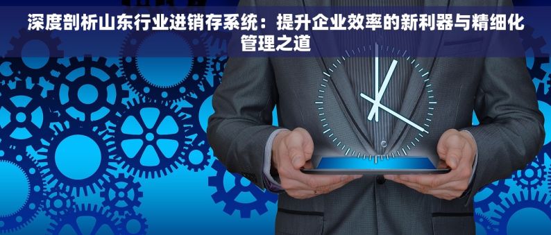 深度剖析山东行业进销存系统：提升企业效率的新利器与精细化管理之道