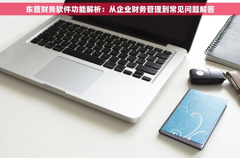 东营财务软件功能解析：从企业财务管理到常见问题解答