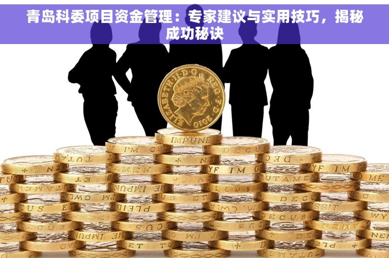 青岛科委项目资金管理：专家建议与实用技巧，揭秘成功秘诀