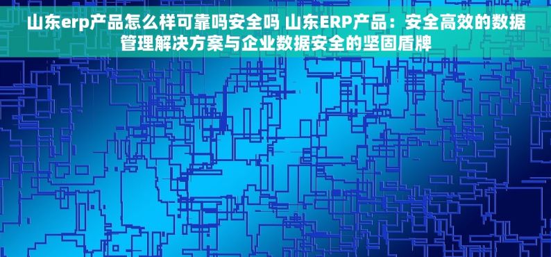 山东erp产品怎么样可靠吗安全吗 山东ERP产品：安全高效的数据管理解决方案与企业数据安全的坚固盾牌