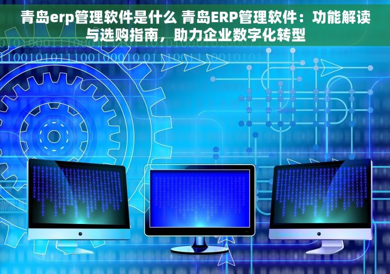 青岛erp管理软件是什么 青岛ERP管理软件：功能解读与选购指南，助力企业数字化转型