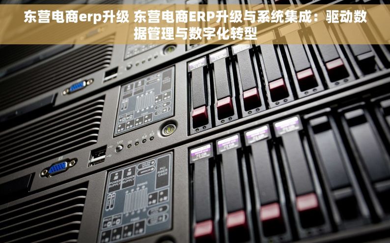 东营电商erp升级 东营电商ERP升级与系统集成：驱动数据管理与数字化转型