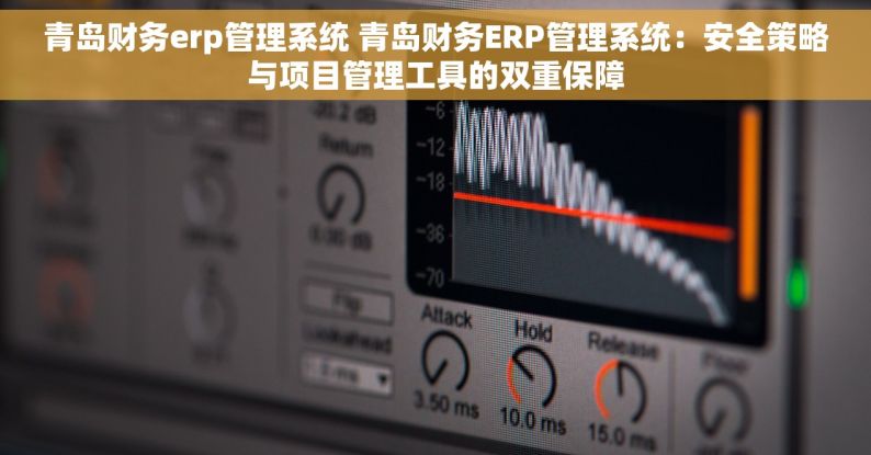 青岛财务erp管理系统 青岛财务ERP管理系统：安全策略与项目管理工具的双重保障