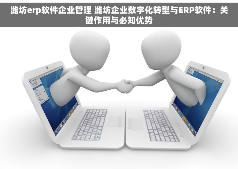 潍坊erp软件企业管理 潍坊企业数字化转型与ERP软件：关键作用与必知优势