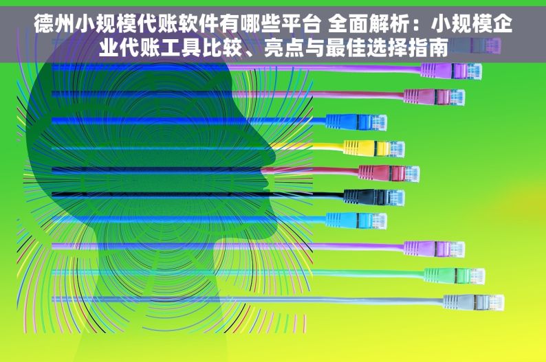 德州小规模代账软件有哪些平台 全面解析：小规模企业代账工具比较、亮点与最佳选择指南