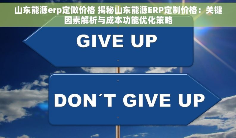 山东能源erp定做价格 揭秘山东能源ERP定制价格：关键因素解析与成本功能优化策略