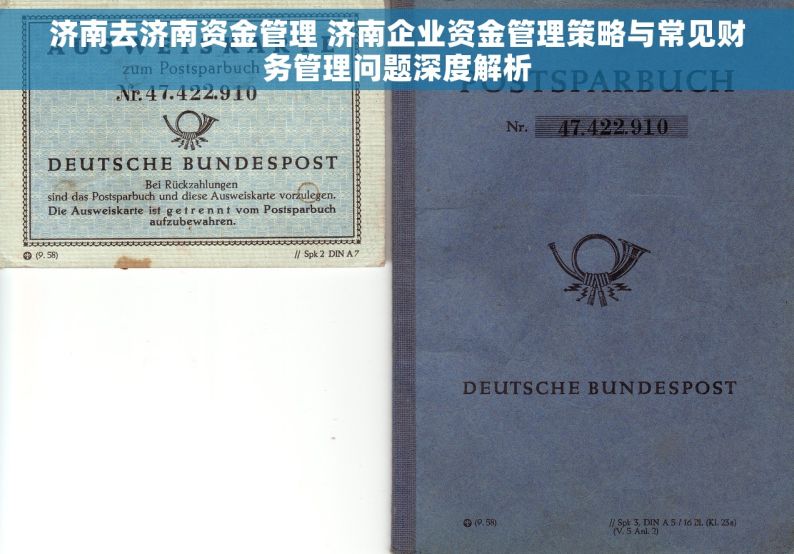 济南去济南资金管理 济南企业资金管理策略与常见财务管理问题深度解析