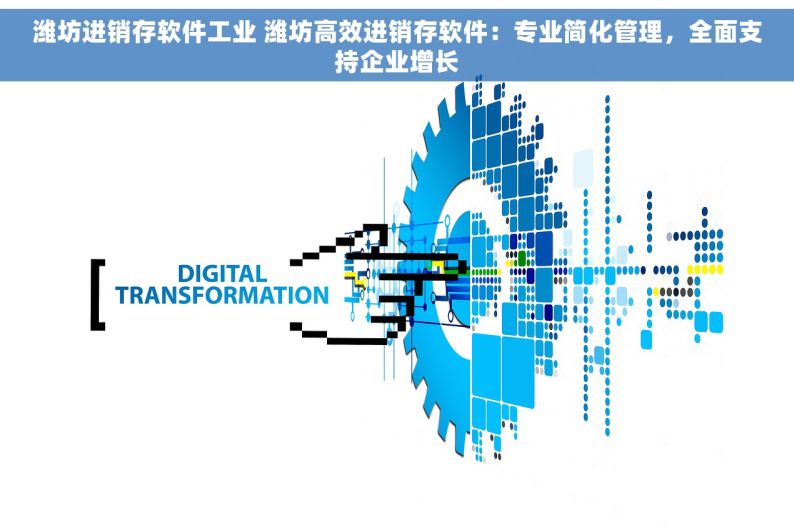 潍坊进销存软件工业 潍坊高效进销存软件：专业简化管理，全面支持企业增长