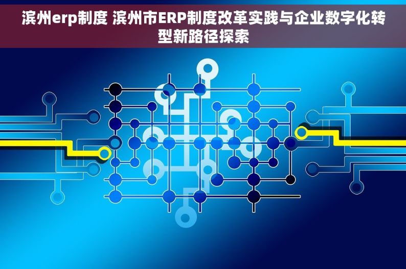 滨州erp制度 滨州市ERP制度改革实践与企业数字化转型新路径探索