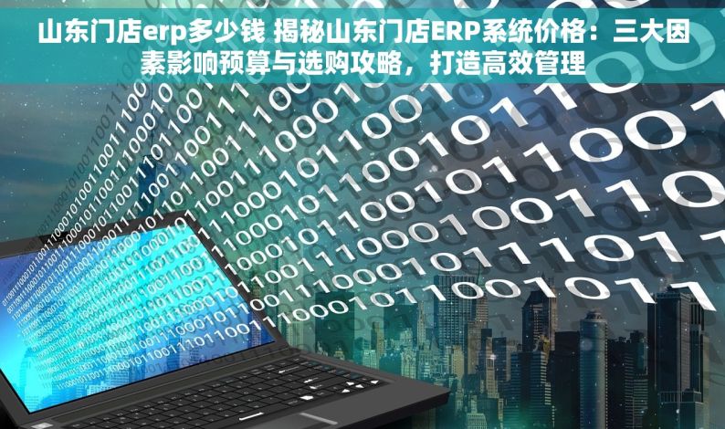 山东门店erp多少钱 揭秘山东门店ERP系统价格：三大因素影响预算与选购攻略，打造高效管理