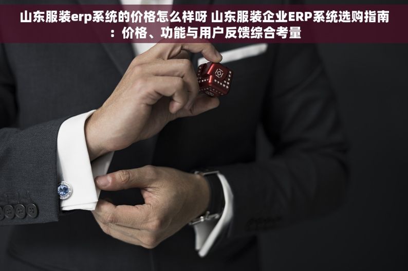 山东服装erp系统的价格怎么样呀 山东服装企业ERP系统选购指南：价格、功能与用户反馈综合考量