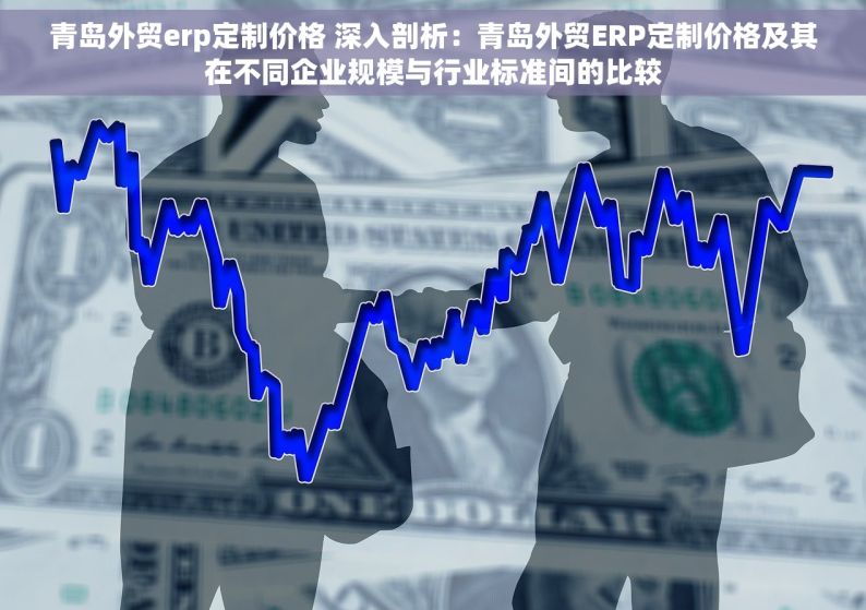 青岛外贸erp定制价格 深入剖析：青岛外贸ERP定制价格及其在不同企业规模与行业标准间的比较