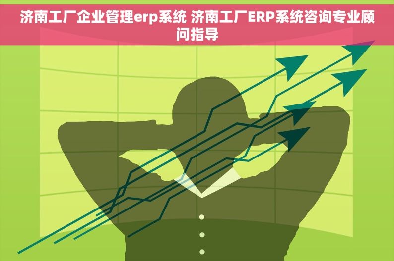 济南工厂企业管理erp系统 济南工厂ERP系统咨询专业顾问指导