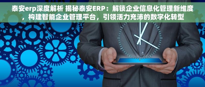 泰安erp深度解析 揭秘泰安ERP：解锁企业信息化管理新维度，构建智能企业管理平台，引领活力充沛的数字化转型