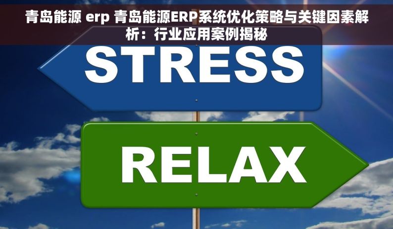 青岛能源 erp 青岛能源ERP系统优化策略与关键因素解析：行业应用案例揭秘