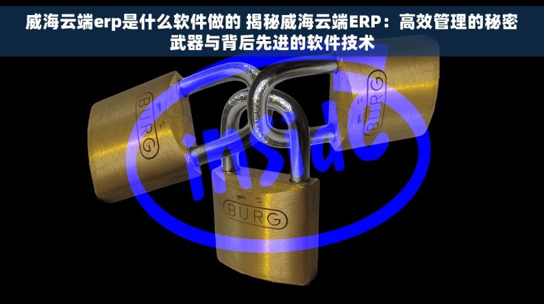 威海云端erp是什么软件做的 揭秘威海云端ERP：高效管理的秘密武器与背后先进的软件技术