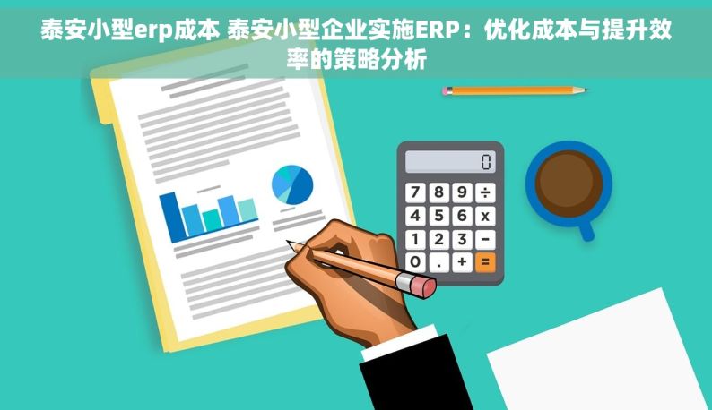 泰安小型erp成本 泰安小型企业实施ERP：优化成本与提升效率的策略分析