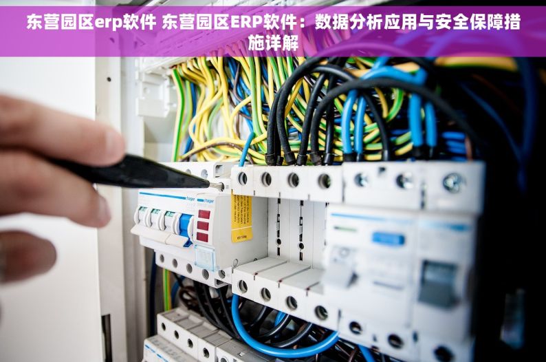 东营园区erp软件 东营园区ERP软件：数据分析应用与安全保障措施详解