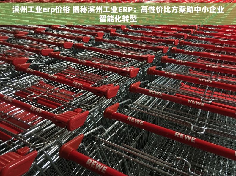 滨州工业erp价格 揭秘滨州工业ERP：高性价比方案助中小企业智能化转型