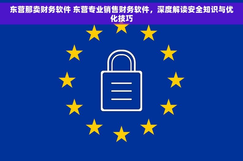 东营那卖财务软件 东营专业销售财务软件，深度解读安全知识与优化技巧