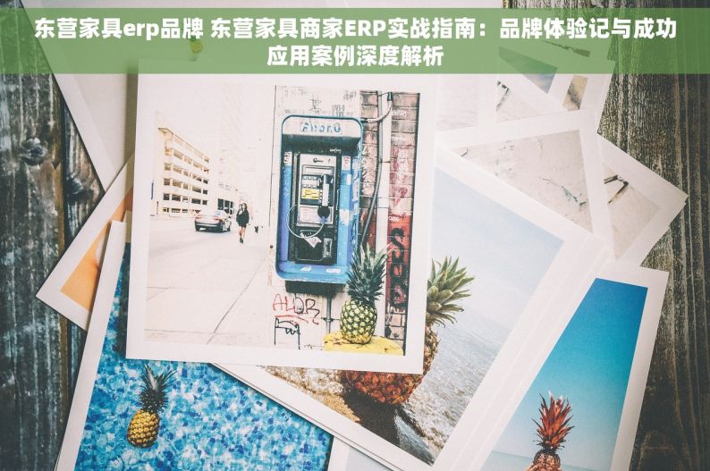 东营家具erp品牌 东营家具商家ERP实战指南：品牌体验记与成功应用案例深度解析