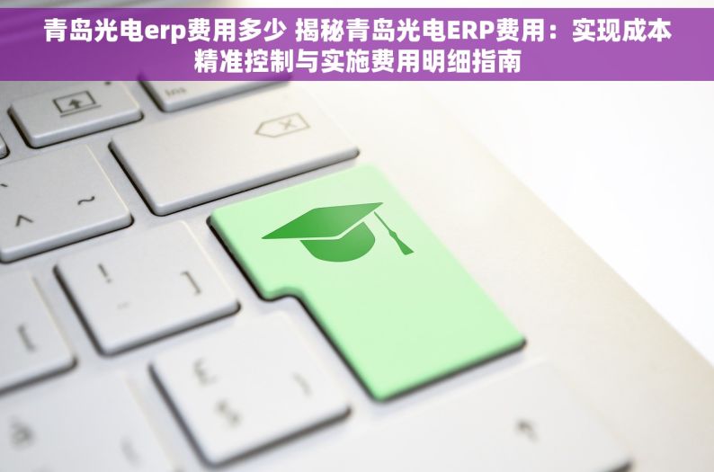 青岛光电erp费用多少 揭秘青岛光电ERP费用：实现成本精准控制与实施费用明细指南