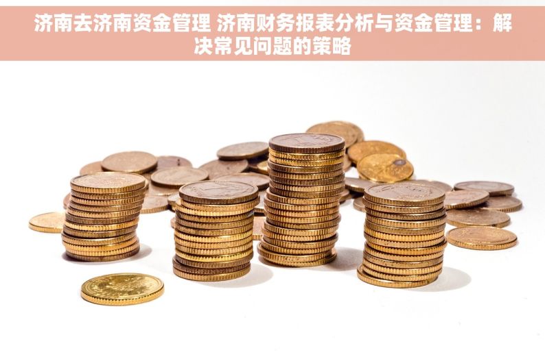 济南去济南资金管理 济南财务报表分析与资金管理：解决常见问题的策略