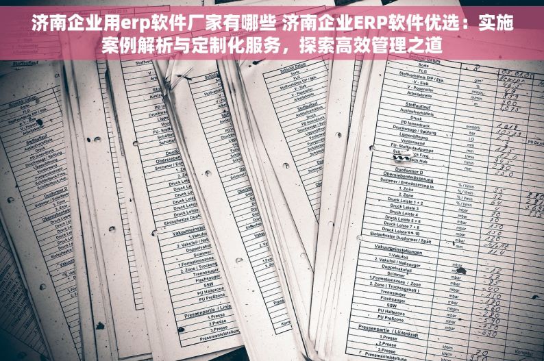 济南企业用erp软件厂家有哪些 济南企业ERP软件优选：实施案例解析与定制化服务，探索高效管理之道