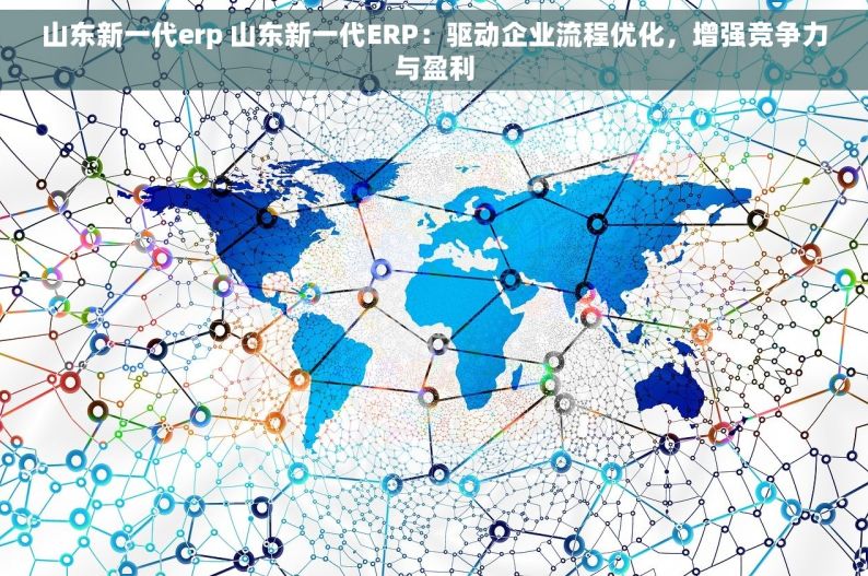 山东新一代erp 山东新一代ERP：驱动企业流程优化，增强竞争力与盈利