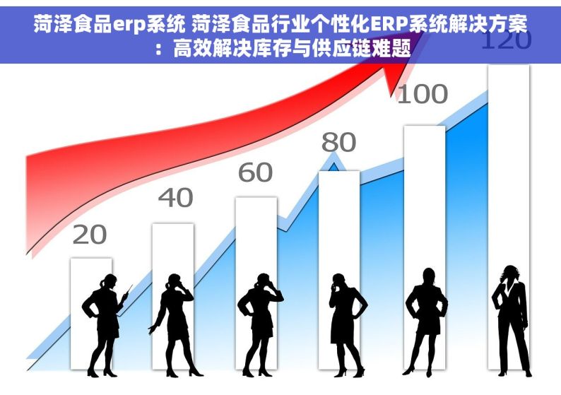 菏泽食品erp系统 菏泽食品行业个性化ERP系统解决方案：高效解决库存与供应链难题