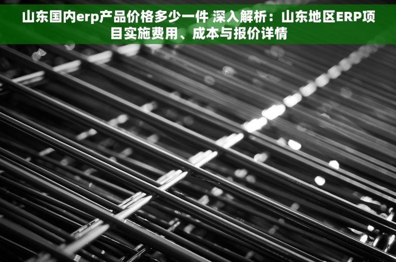 山东国内erp产品价格多少一件 深入解析：山东地区ERP项目实施费用、成本与报价详情