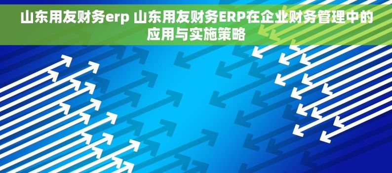 山东用友财务erp 山东用友财务ERP在企业财务管理中的应用与实施策略