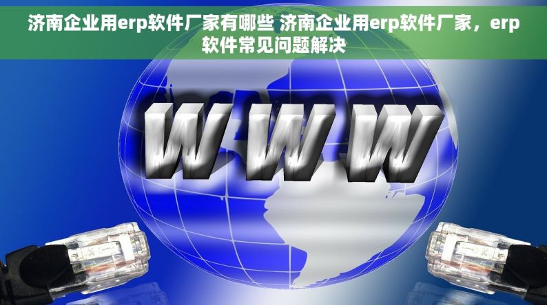 济南企业用erp软件厂家有哪些 济南企业用erp软件厂家，erp软件常见问题解决