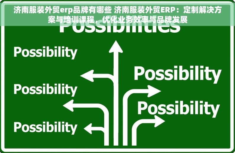 济南服装外贸erp品牌有哪些 济南服装外贸ERP：定制解决方案与培训课程，优化业务效率与品牌发展