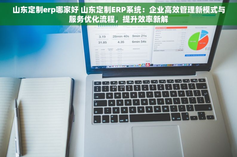 山东定制erp哪家好 山东定制ERP系统：企业高效管理新模式与服务优化流程，提升效率新解